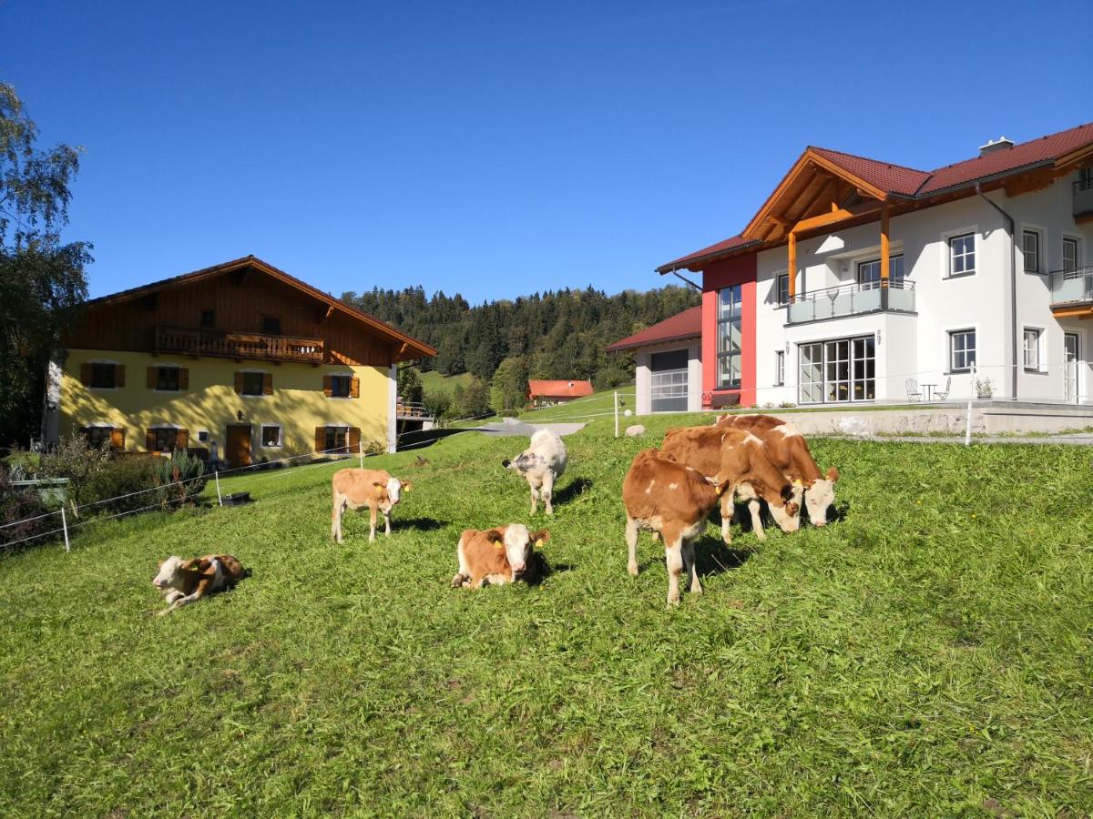 Fitzlhof - B&B