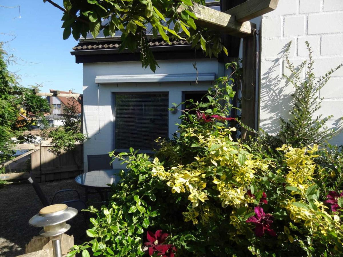 Heidelberg Viola - B&B Neustadt in Holstein