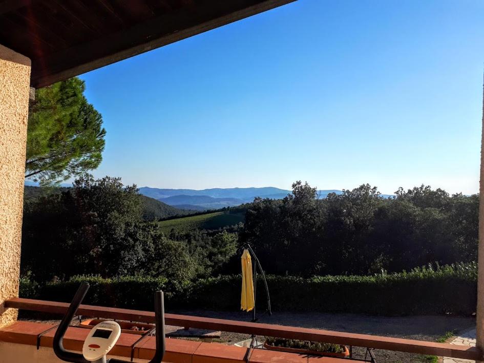 King Room with Garden View