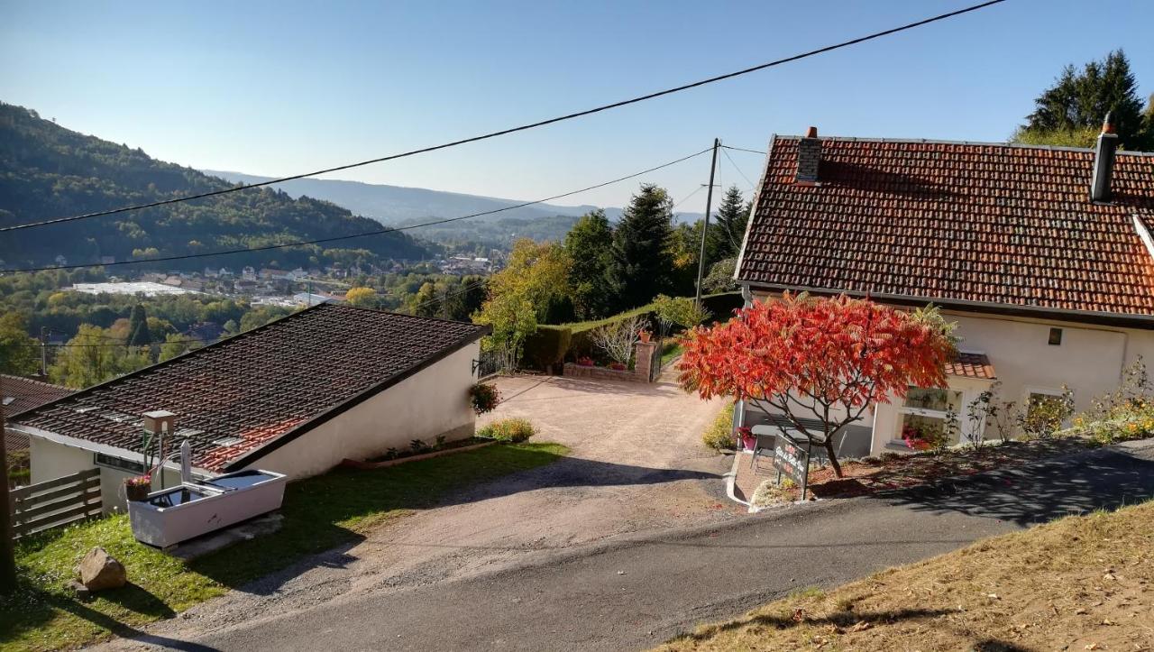 Gîte de Bellevue Maison Traditionnelle Vosgienne - Bed and Breakfast