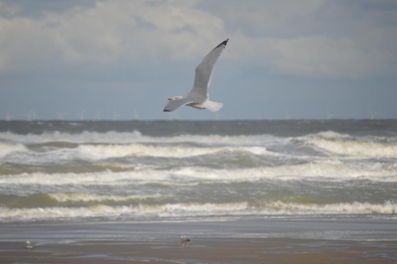 Huisjes aan zee - Ferienwohnung De Haan