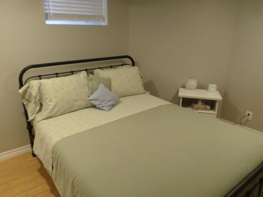 Fantastic and Modern Downtown 1-Bed Basement Apt., parking Wi-Fi and Netflix included - B&B