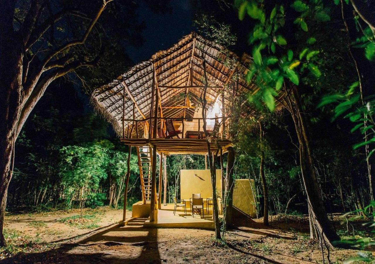 Back of Beyond - Pidurangala - Chambres d’hôtes Sigiriya