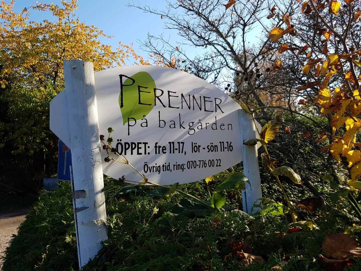 Perenner på bakgården - B&B Motala