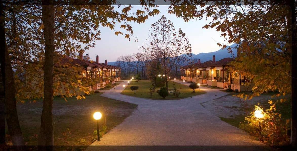 Paradise Studios - B&B