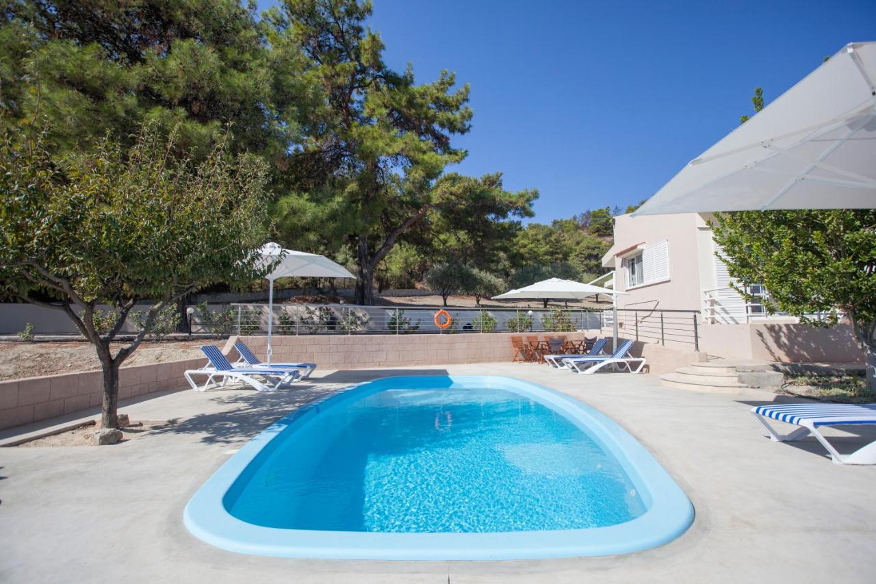 B&B Theologòs - The Olive Grove Villa Private Pool with star links WiFi - Bed and Breakfast Theologòs