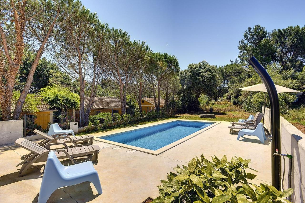Villa Chiara - Ferienwohnung