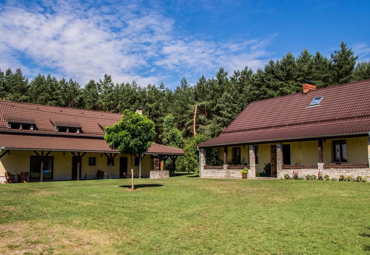 Dom przy Rezerwacie - B&B