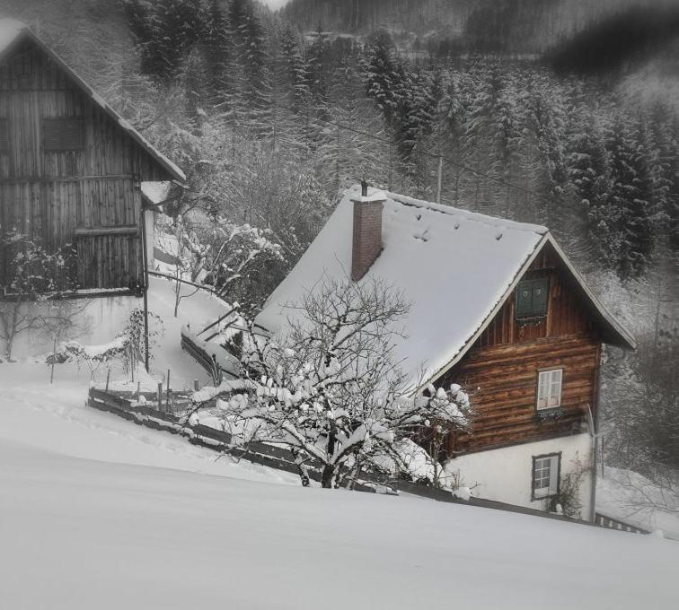 Romantische Ferienhütte Nationalpark Kalkalpen, sonnig, 2 Schlafzimmer, Wlan - B&B Kleinreifling