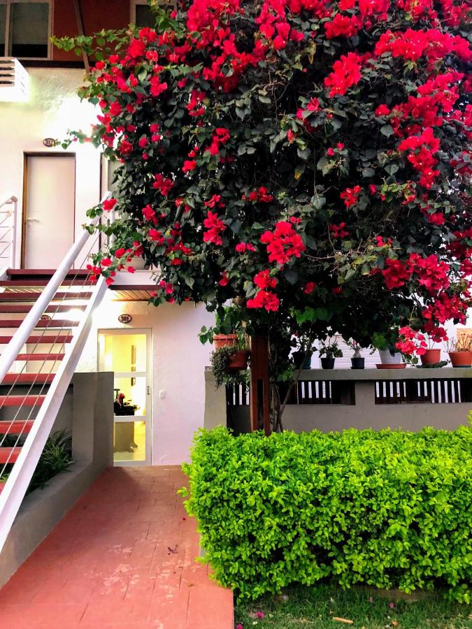 Villa Hipica FLAT 301 - Gravatá PE - B&B Gravatá