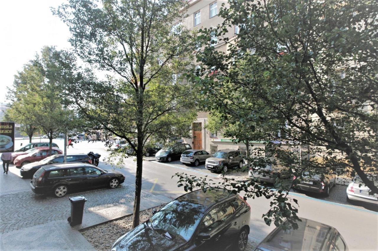 Apartment - auf 2 Etagen
