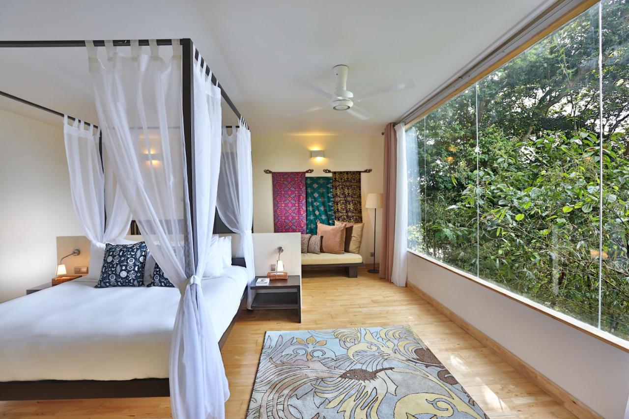 Suite Foresta Pluviale