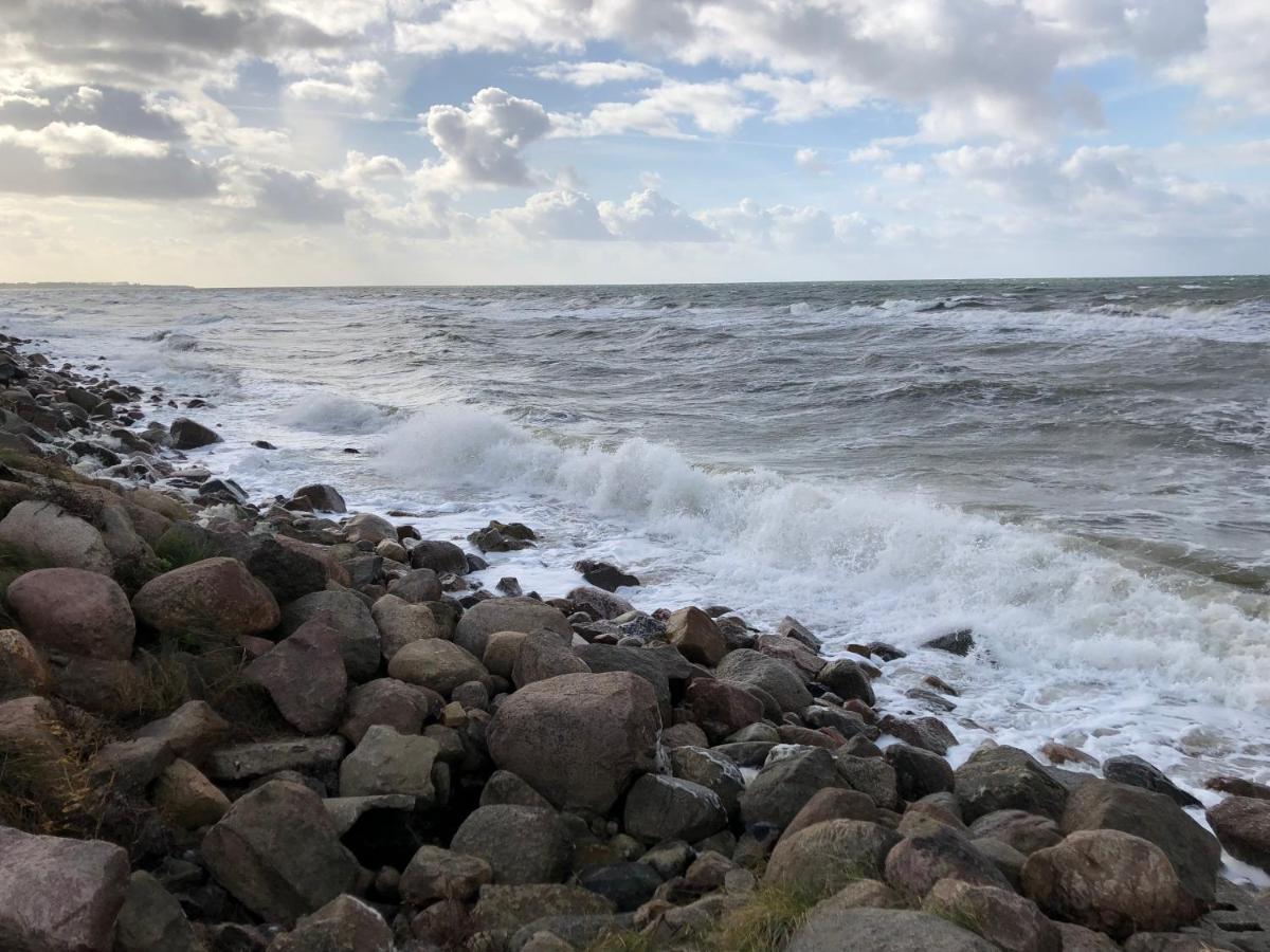 Sonnenblick - B&B Bastorf