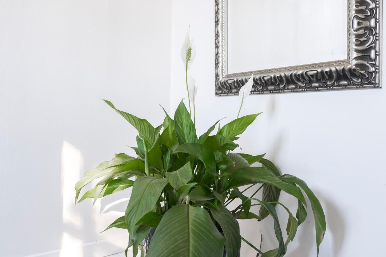 Appartamento con Terrazza