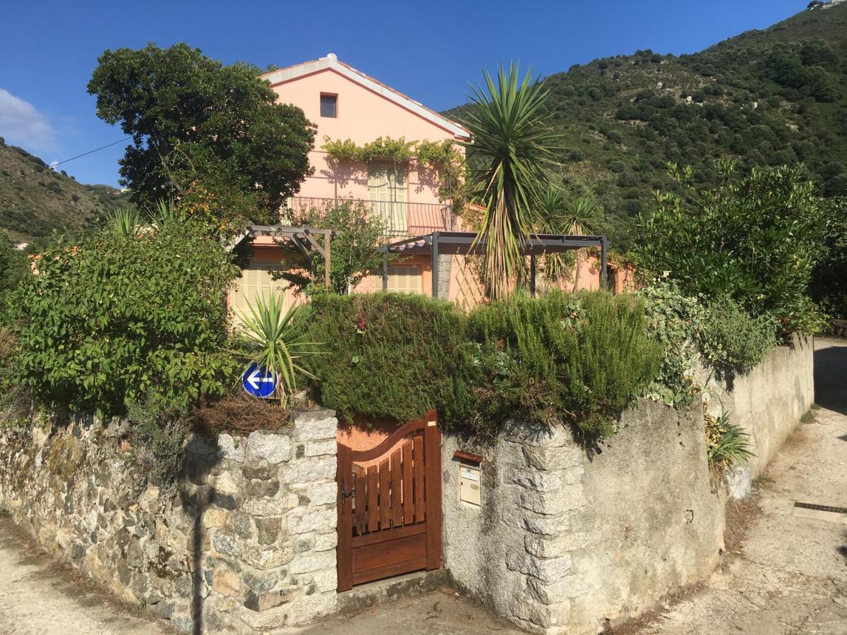 B&B Santa-Maria - U Parasu - Bed and Breakfast Santa-Maria