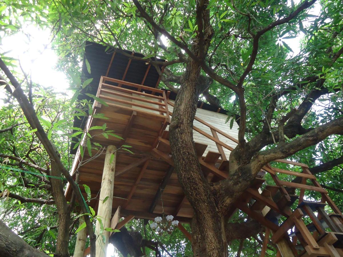 Casa na Árvore - B&B