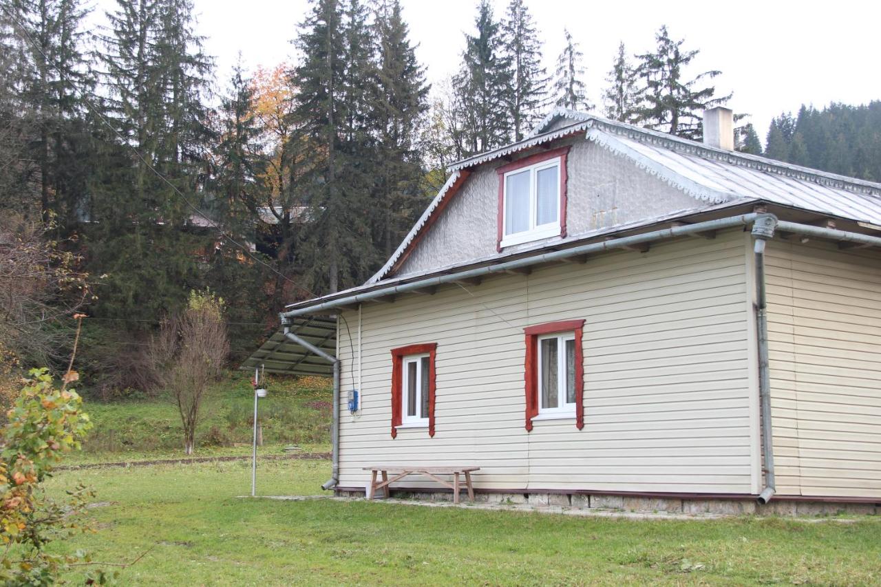 У МИХАЙЛА під лісом - B&B Verkhovyna