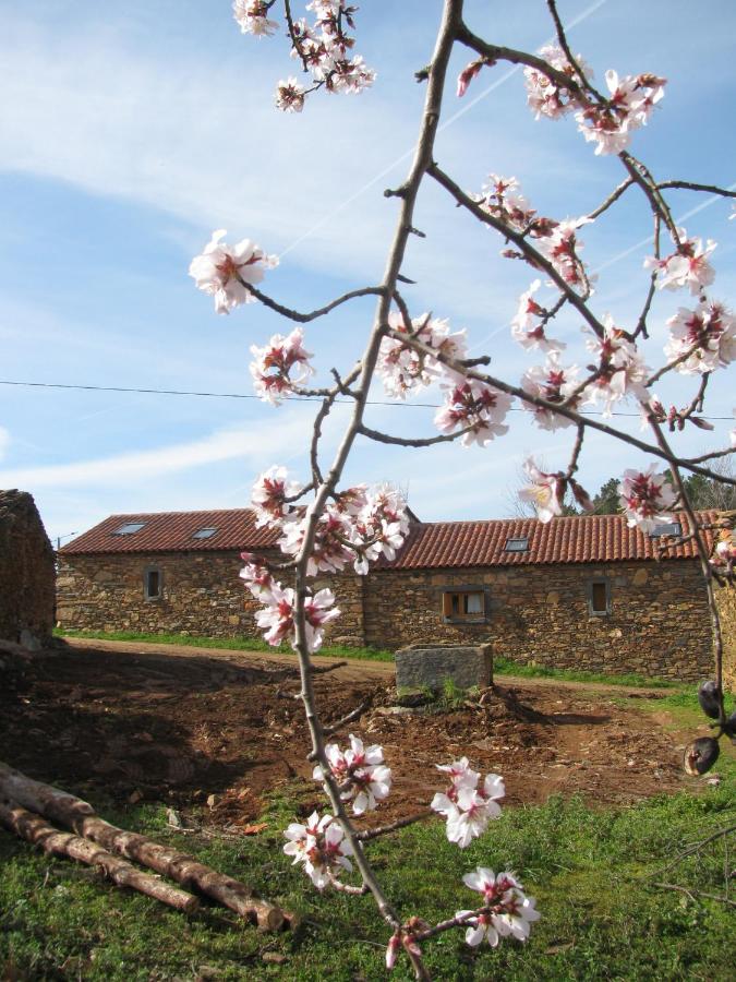 B&B Freixo de Espada à Cinta Municipality - Quinta dos Baldo - Bed and Breakfast Freixo de Espada à Cinta Municipality