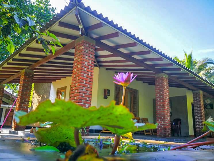 B&B Anuradhapura - Green Cottage - Bed and Breakfast Anuradhapura