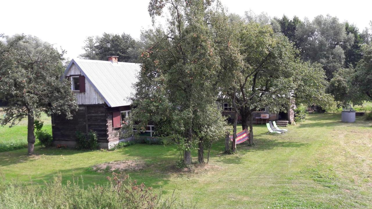 Dom między Wisłą a Kampinosem - B&B