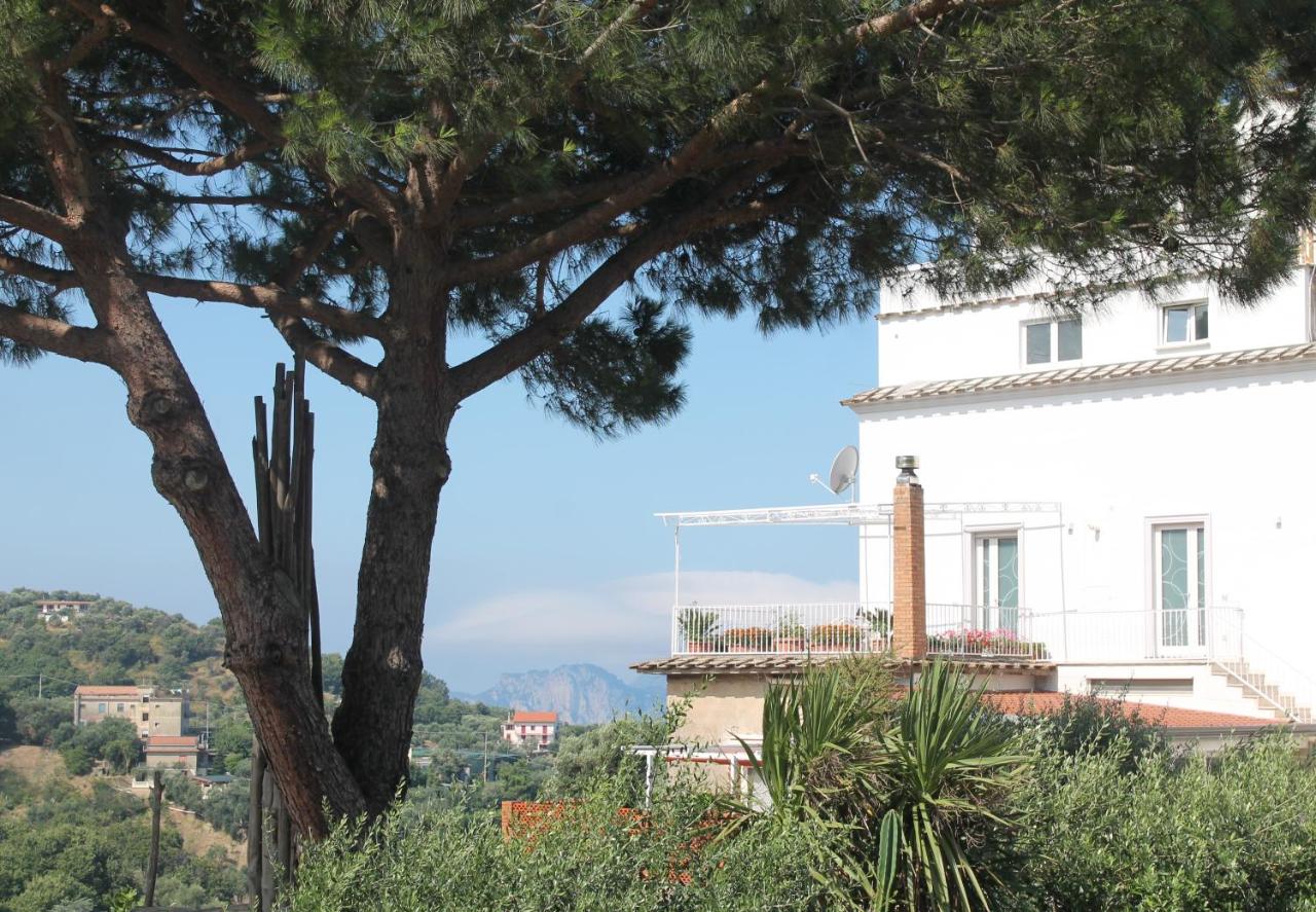 Sunset House - B&B