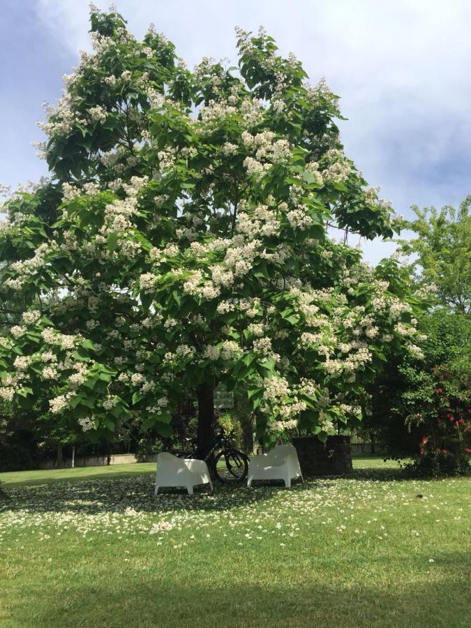 La Taverna Fra Le Colline - Bed and Breakfast Arezzo