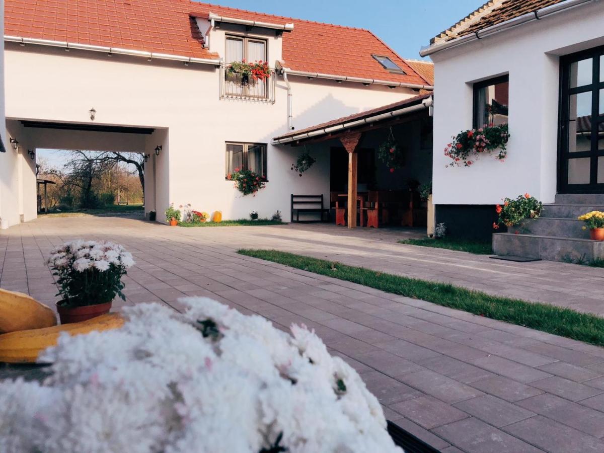 Casa Badea - B&B