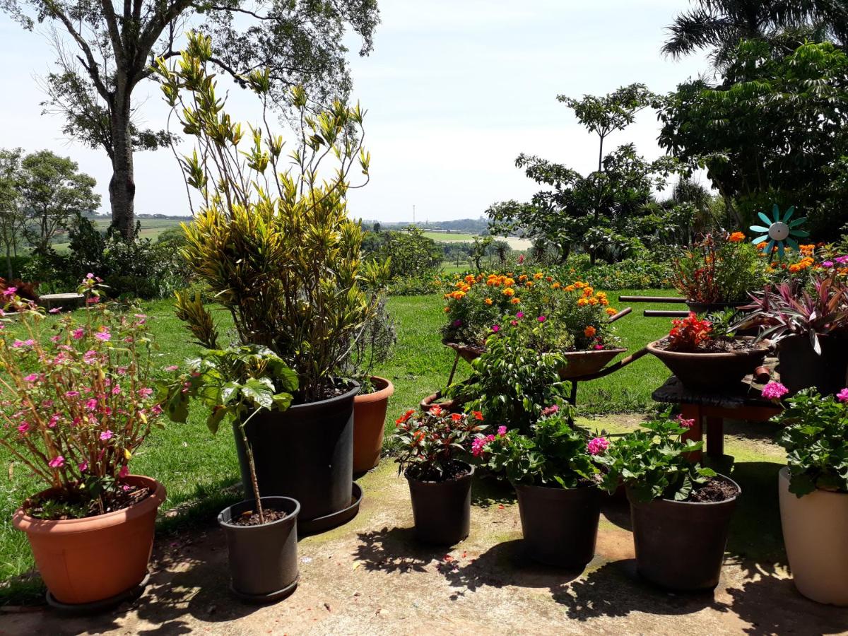 Parque Paraíso das Flores - B&B
