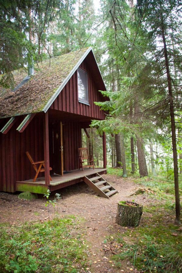 Kimalase Metsamaja - B&B