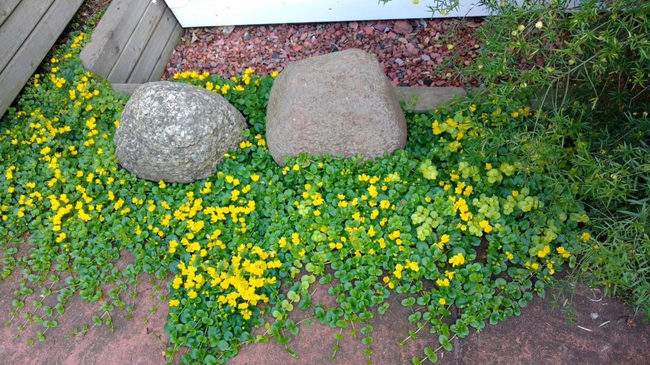 U of A Homestay, Trails & Whyte Ave - B&B Edmonton
