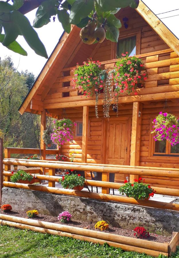 B&B Cettigne - Brvnara Borovik - Bed and Breakfast Cettigne