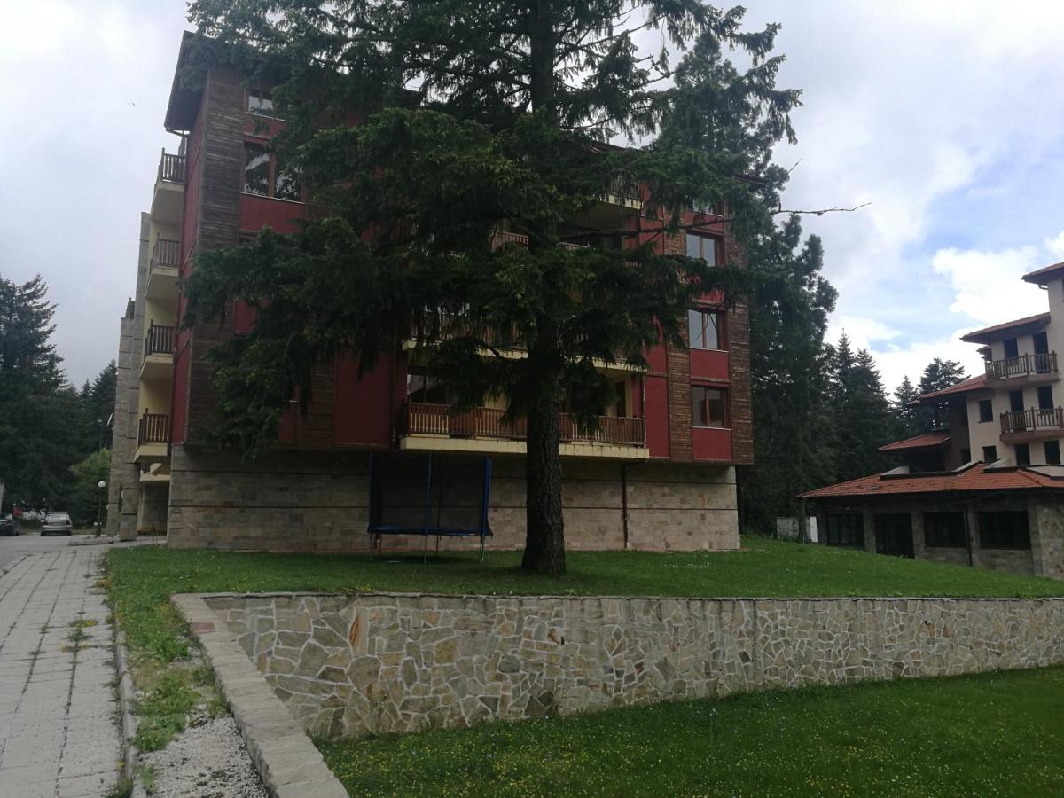 Borovets Mountain Apartment Sequoia - Ferienwohnung Borowez
