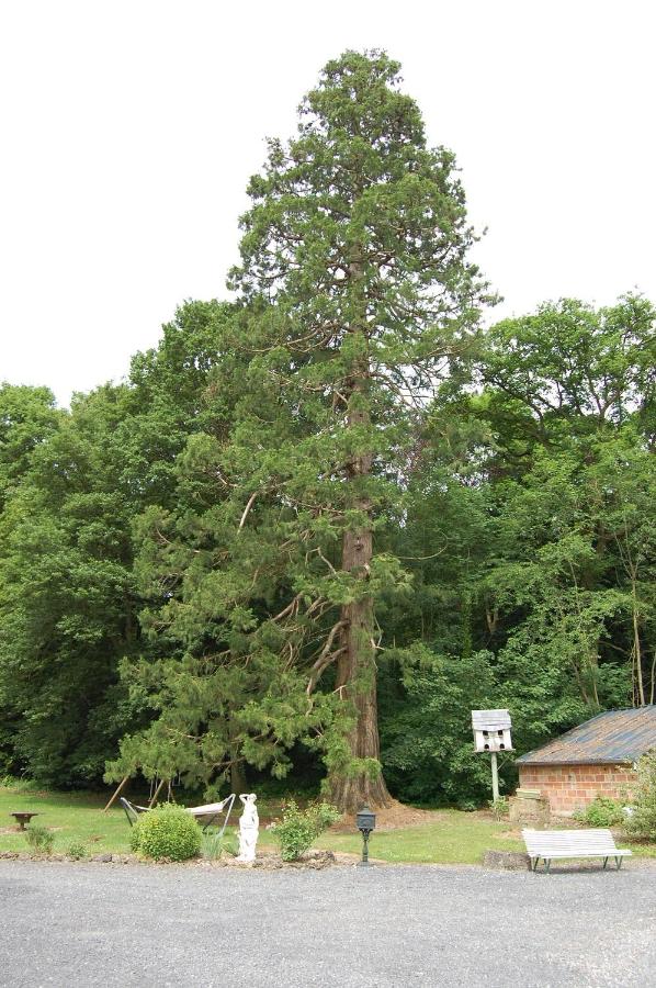 Château de broyes - B&B Broyes