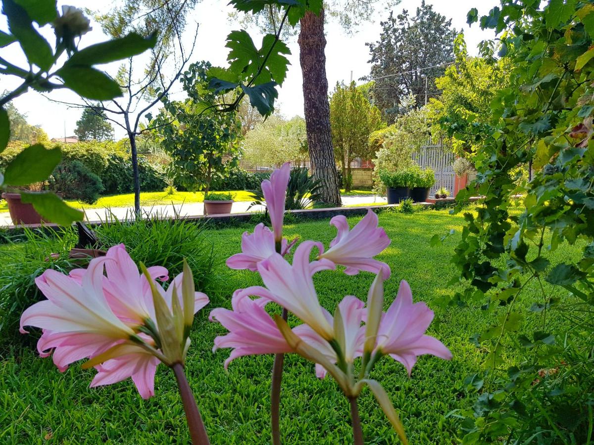 B&B Welcome - B&B