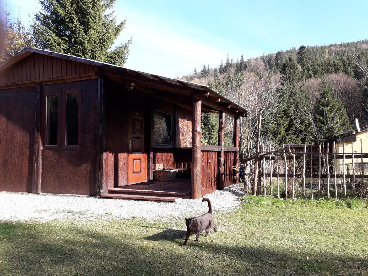 Zbójnicki Ostęp-Nocleg Trapera - Bed and Breakfast Kletno
