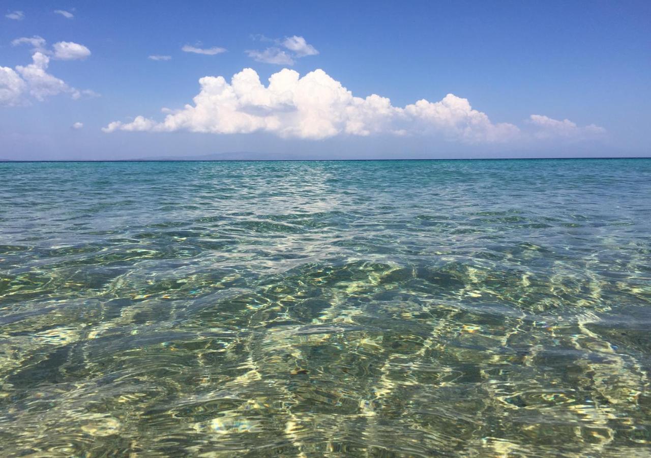 Seasidelongo Houses 1 min from the beach of Nikiti - B&B Nikiti