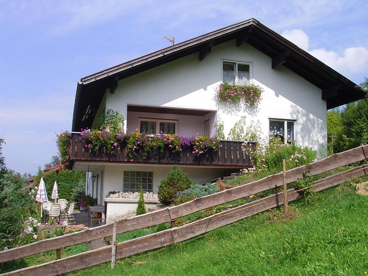 Haus Kranzusch - Ferienwohnung