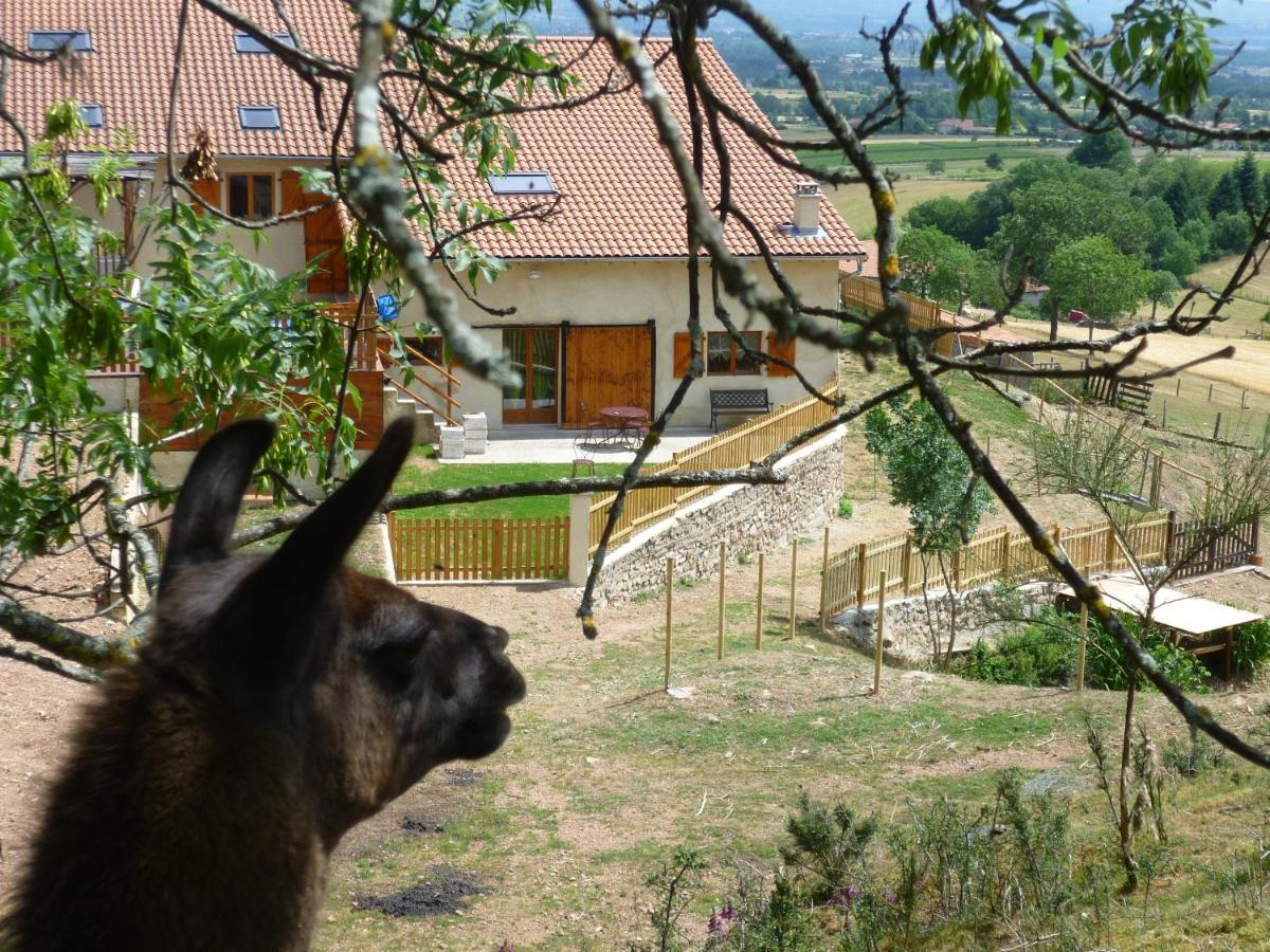 B&B Saint-André-d'Apchon - La Bruyère aux Lamas - Bed and Breakfast Saint-André-d'Apchon