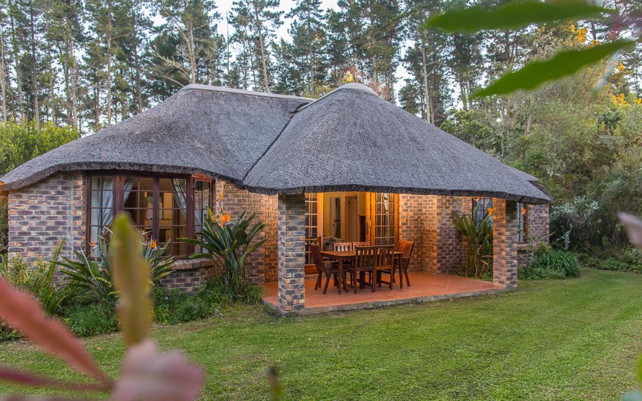 Coral Tree Cottages - B&B