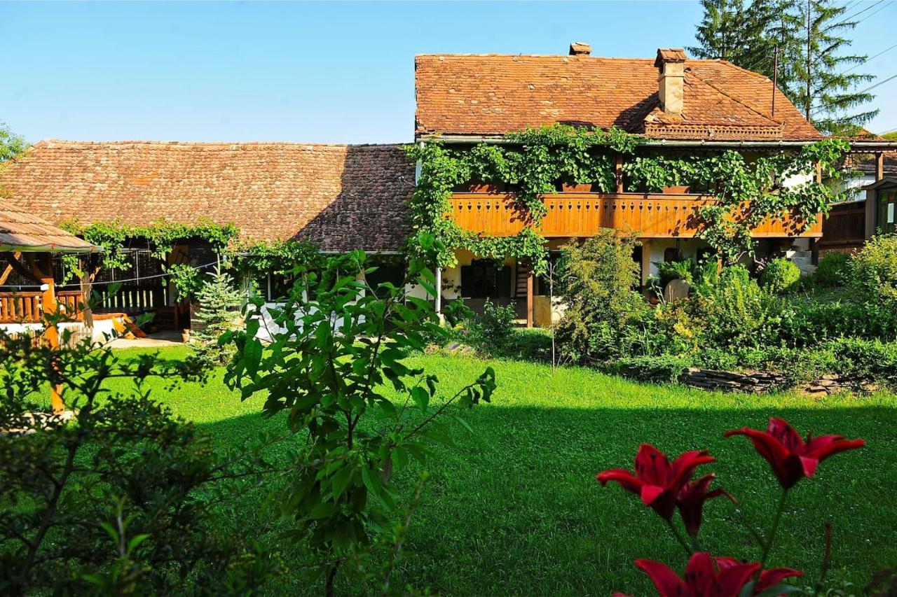 Transylvanian country house - B&B
