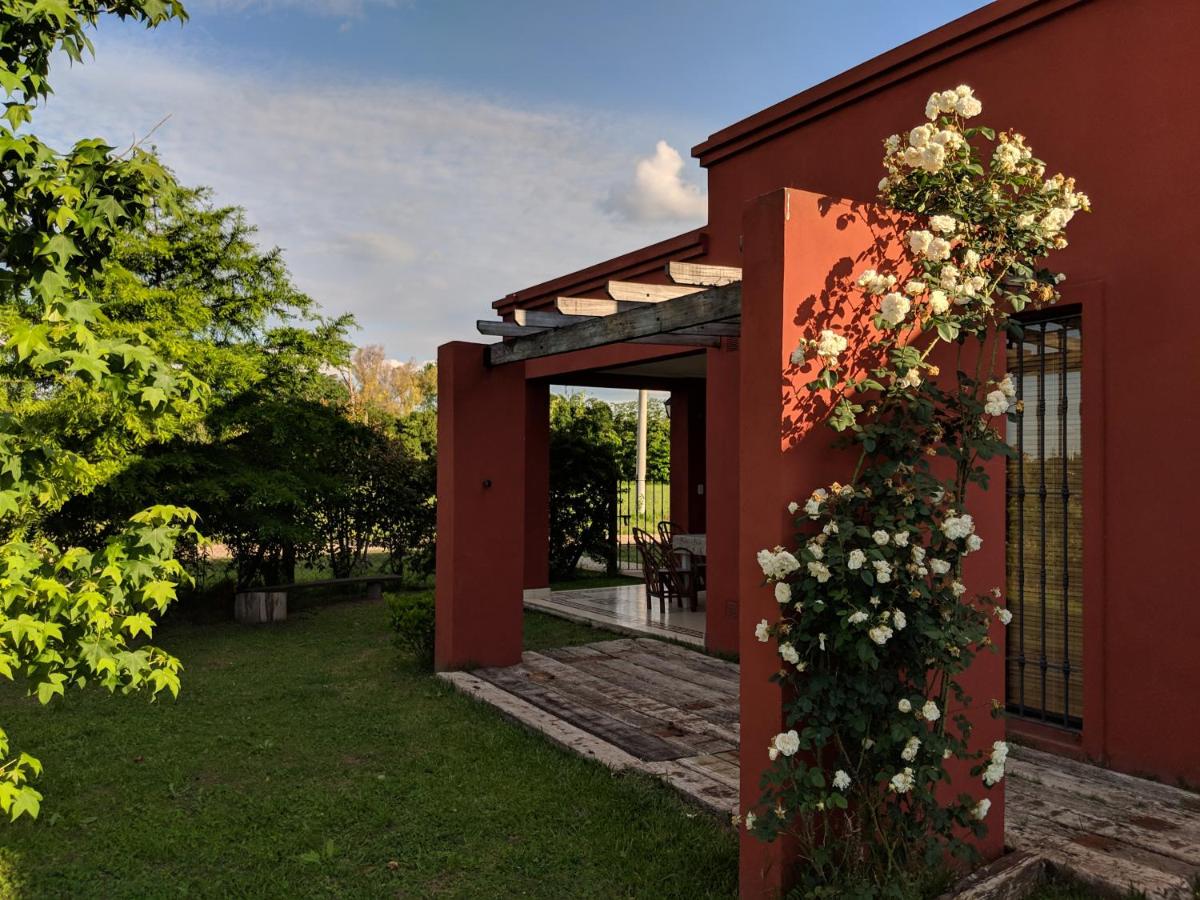La Colorada - Ferienwohnung San Pedro