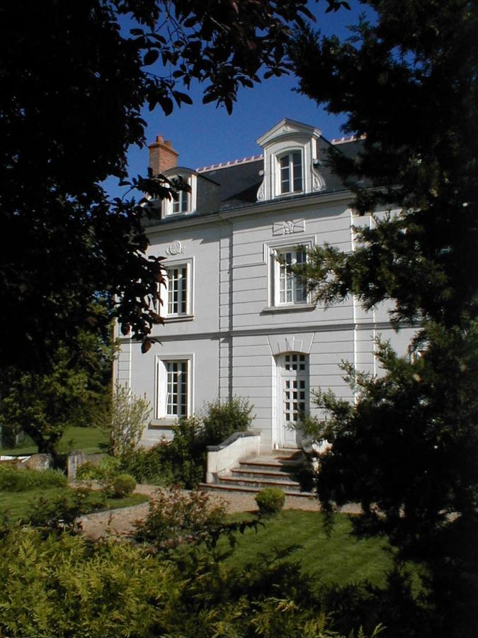 Le Chat Courant - B&B