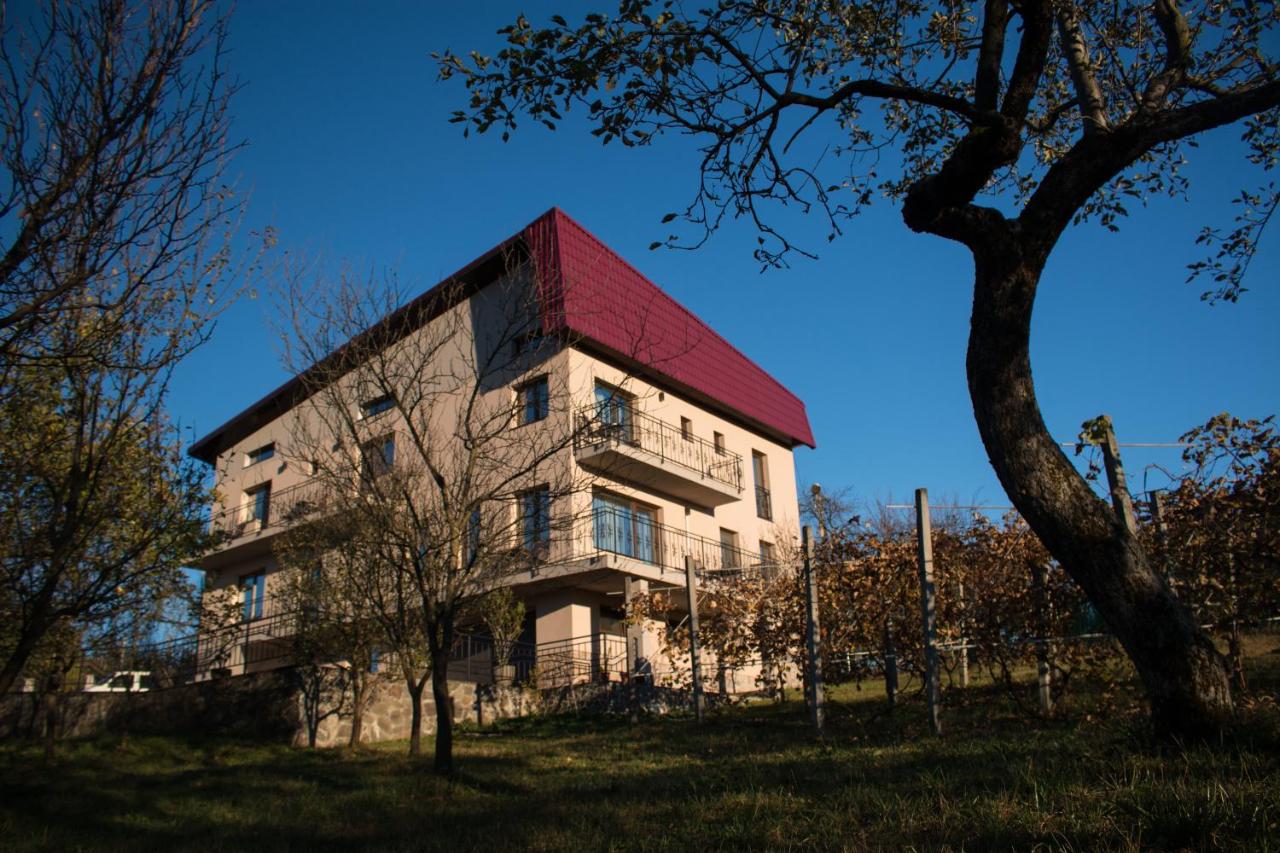 Panoramic - B&B