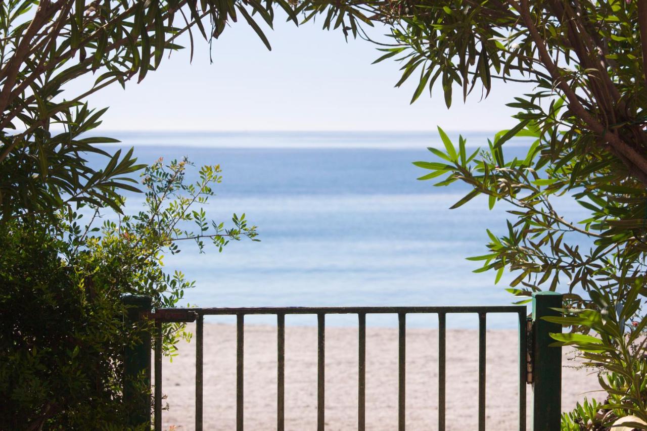 Appartement - Rez-de-Chaussée