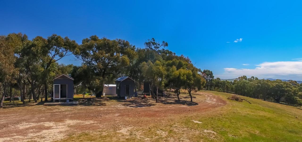 B&B Tallarook - Hilltop Tiny House - Bed and Breakfast Tallarook