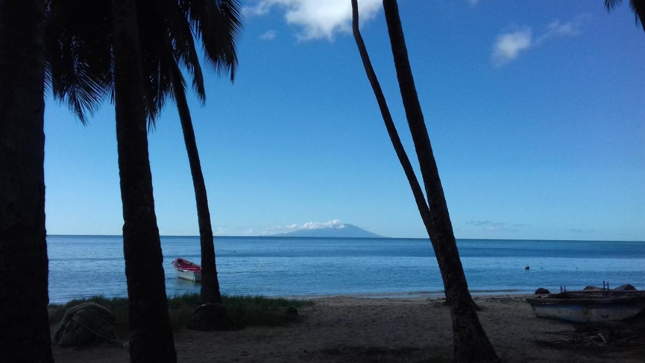 Palm View - B&B