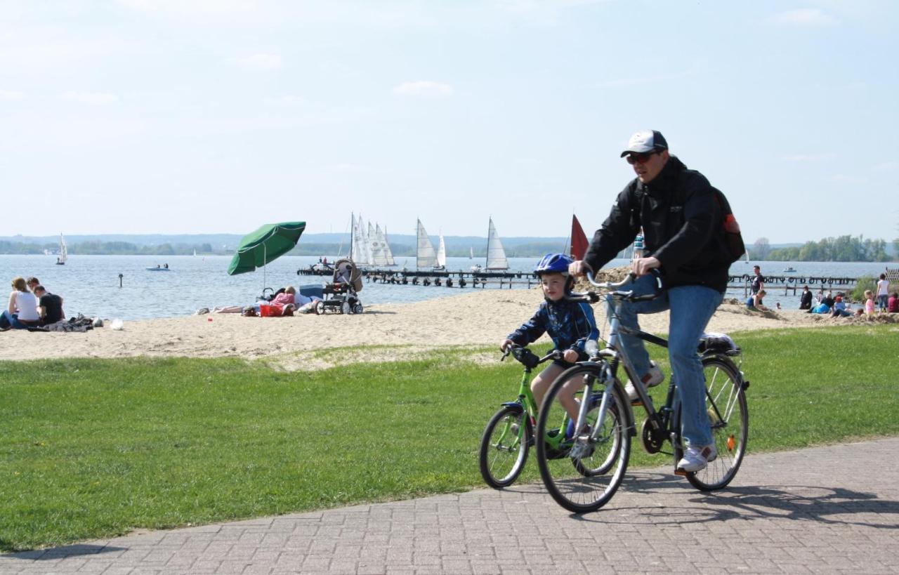 Appartement 1 Chambre