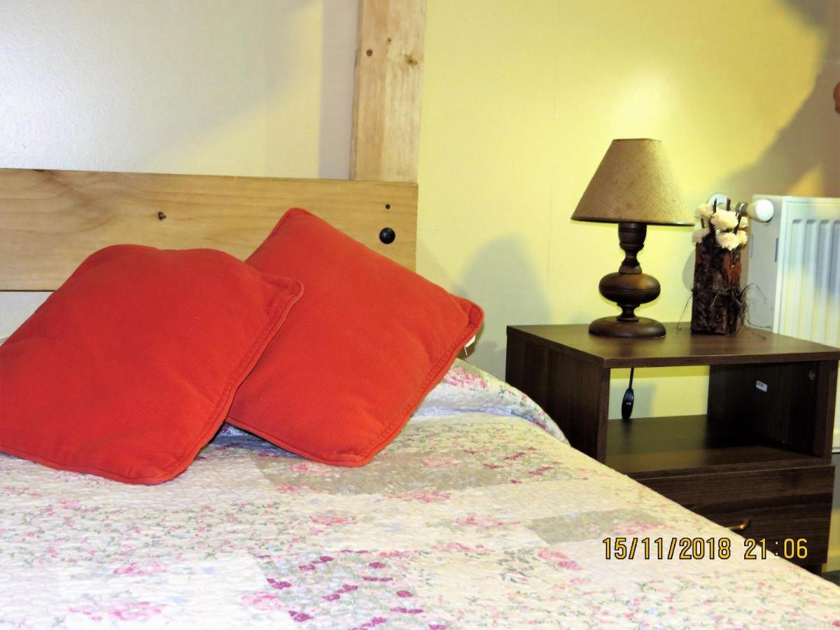 Bed in 6-Bed Dormitory Room
