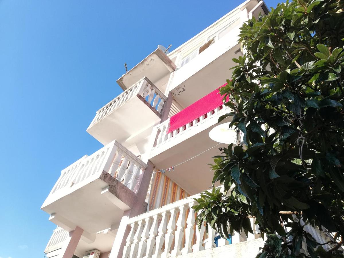 Apartment White Lily of Budva - Ferienwohnung