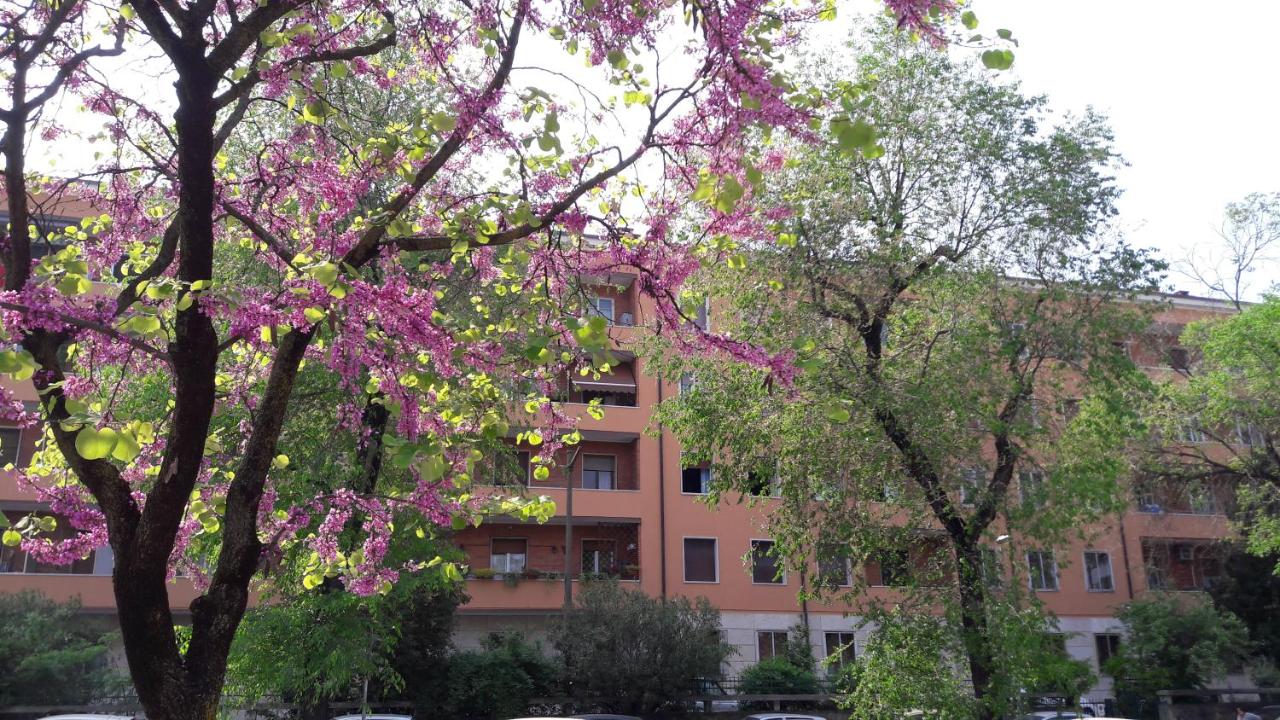 Romeo & Juliet Non-Hotel - B&B Verona